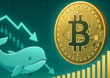 Bitcoin Whale Supply Falls To 3.52M BTC – Details