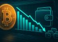 Bitcoin Wholecoiner Inflows Decline To Lowest Levels Since November 2023 – Details