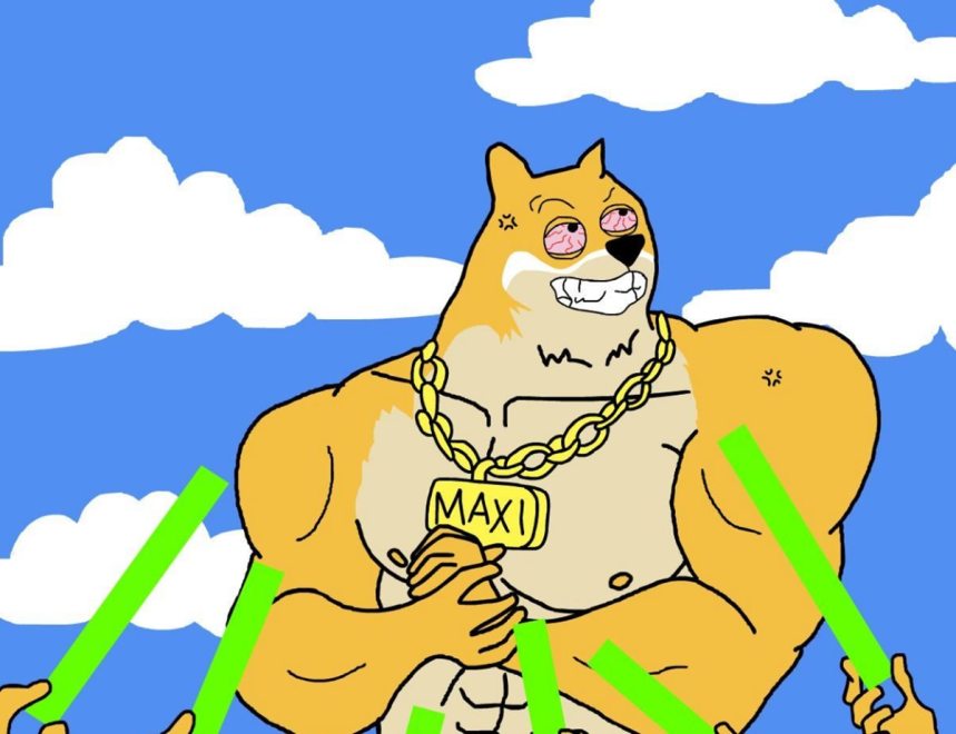 クジラ投資家がMaxi Doge ICOに250万ドル(約3億8,000万円)を投資