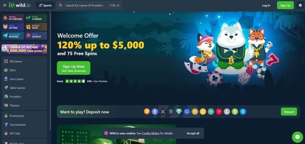 Wild.io – Massive Bonuses & Slots Focus