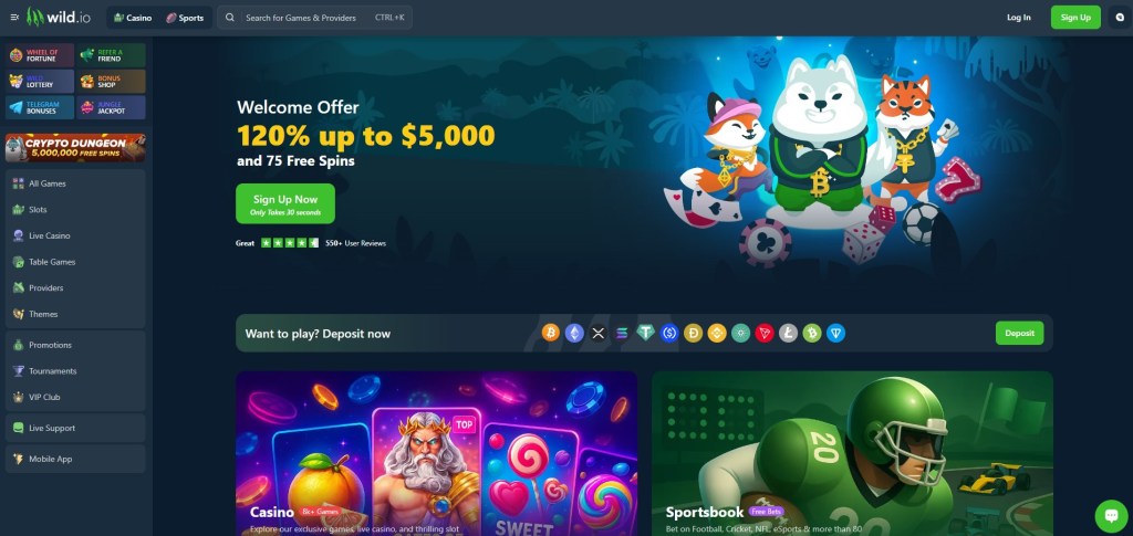 5. Wild.io – Generous free spins and crypto perks