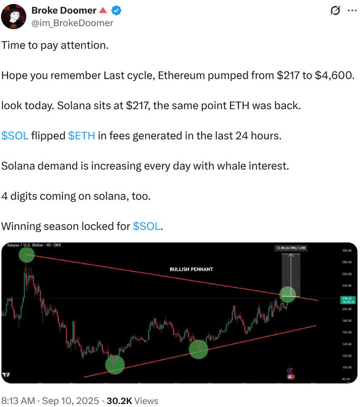 X Post zeigt Solanas Position und Vorhersage eines Preiserhöhung