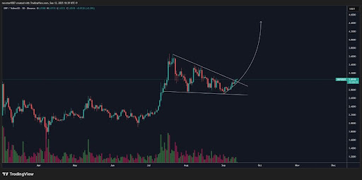 XRP Chart by CW