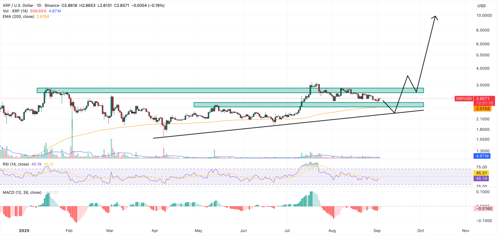 XRP価格予測