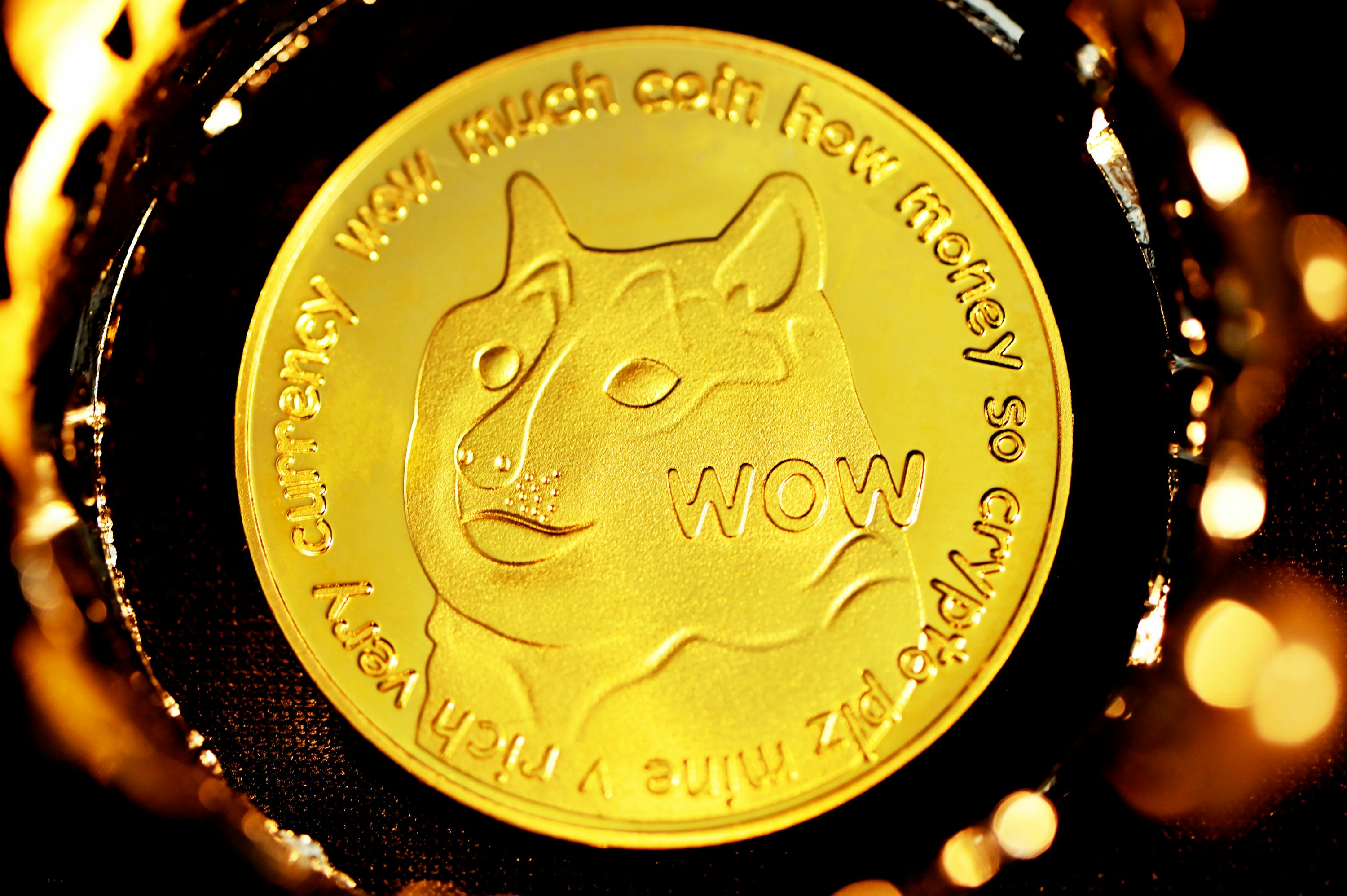 Amended by 1 to convert the Dogecoin Trust to Gdog Etf