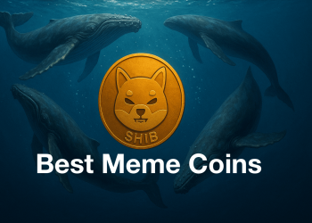 Check Out the Best Meme Coins as Whales Buy 62B $SHIB in the Dip