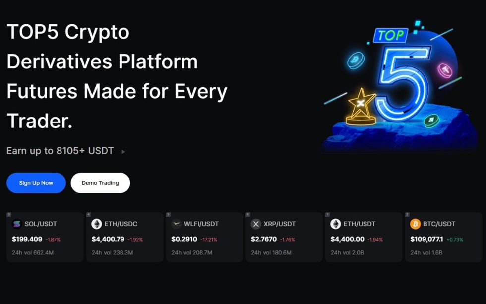 bingx top5