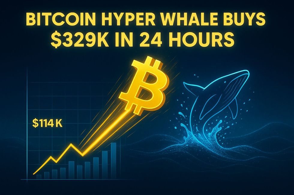 Bitcoin Prepares for Another Surge as Whales Buy $329K Bitcoin Hyper in a Day.