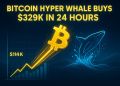 Bitcoin Prepares for Another Surge as Whales Buy $329K Bitcoin Hyper in a Day.