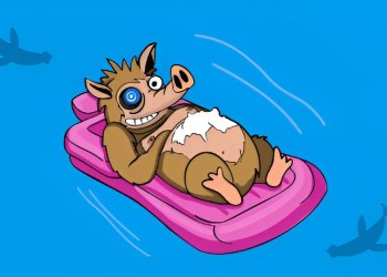 missed-solana-bull-run-snorter-bot-the-next-100x-crypto-tw