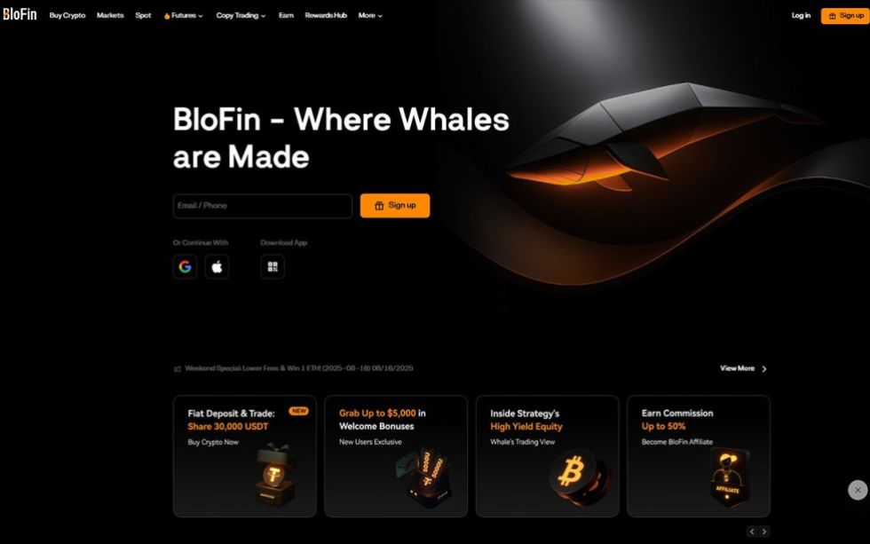 blofin wallet