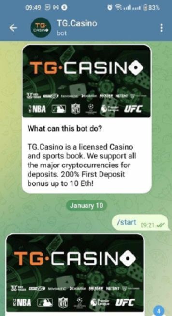 tg casino bot