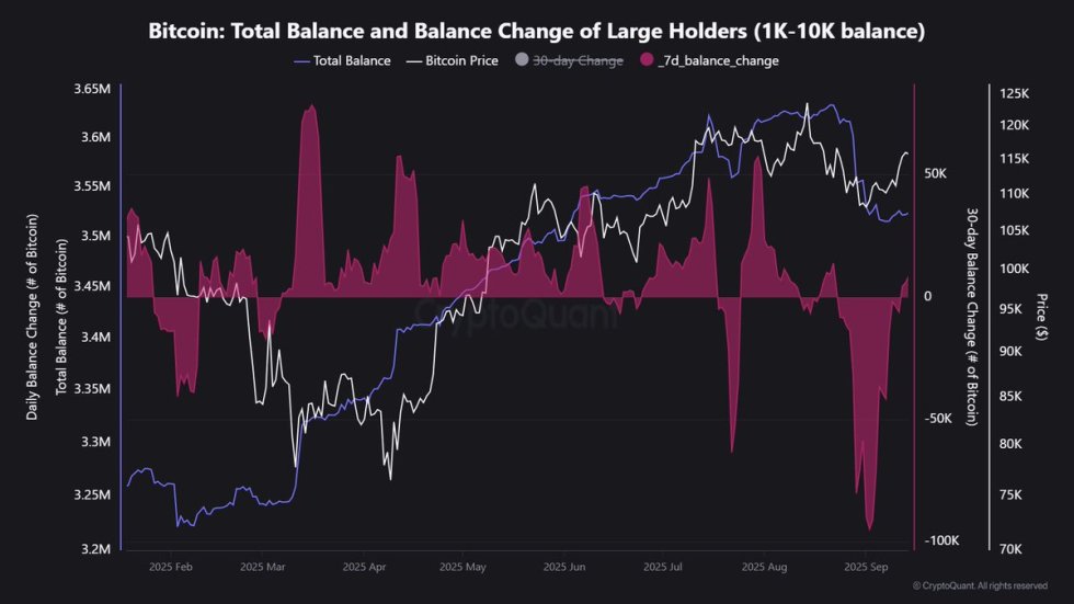 Bitcoin Whale Supply Falls To 3.52M BTC – Details