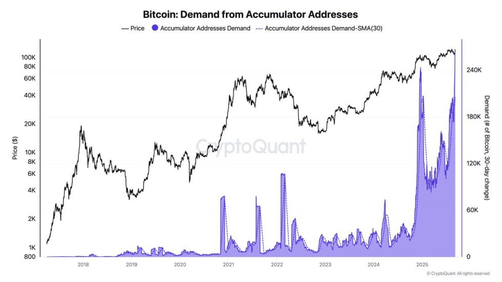 Bitcoin Accumulator Demand Skyrockets To Record 266K BTC – Strong Holder Conviction