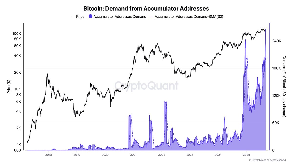 Bitcoin -Nachfrage von Akkumulatoradressen | Quelle: Darkfost
