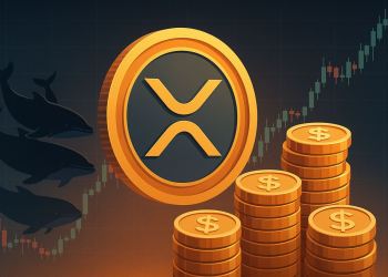 リップル 今後: 鯨による4,000万XRP売却、XRP価格は3ドルのサポートを維持できるか？