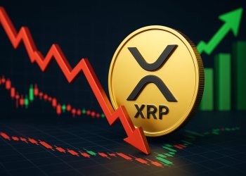 リップル 今後：なぜXRP価格は下落したのか？2025年に20ドル到達は可能か？