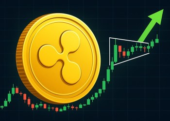 ブルフラッグ＋ETF期待＝10ドルに向かうか？機関投資家がすでに買い集め中