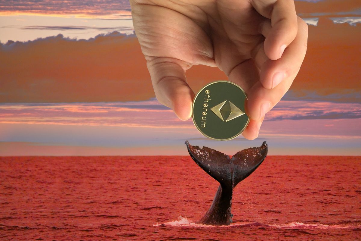 ethereum whale