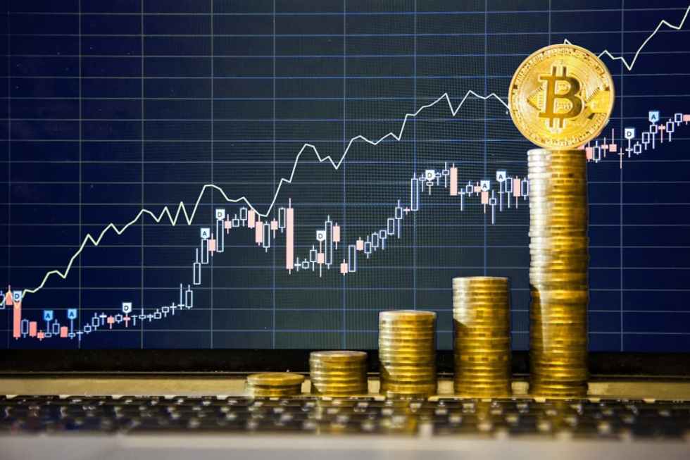Ce cumpără, vând și dețin organizațiile WHALES în crypto?
