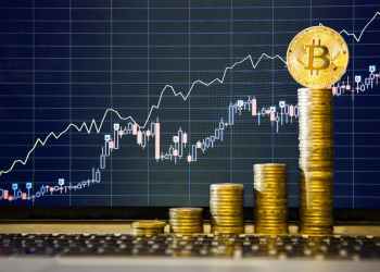 Ce cumpără, vând și dețin organizațiile WHALES în crypto?
