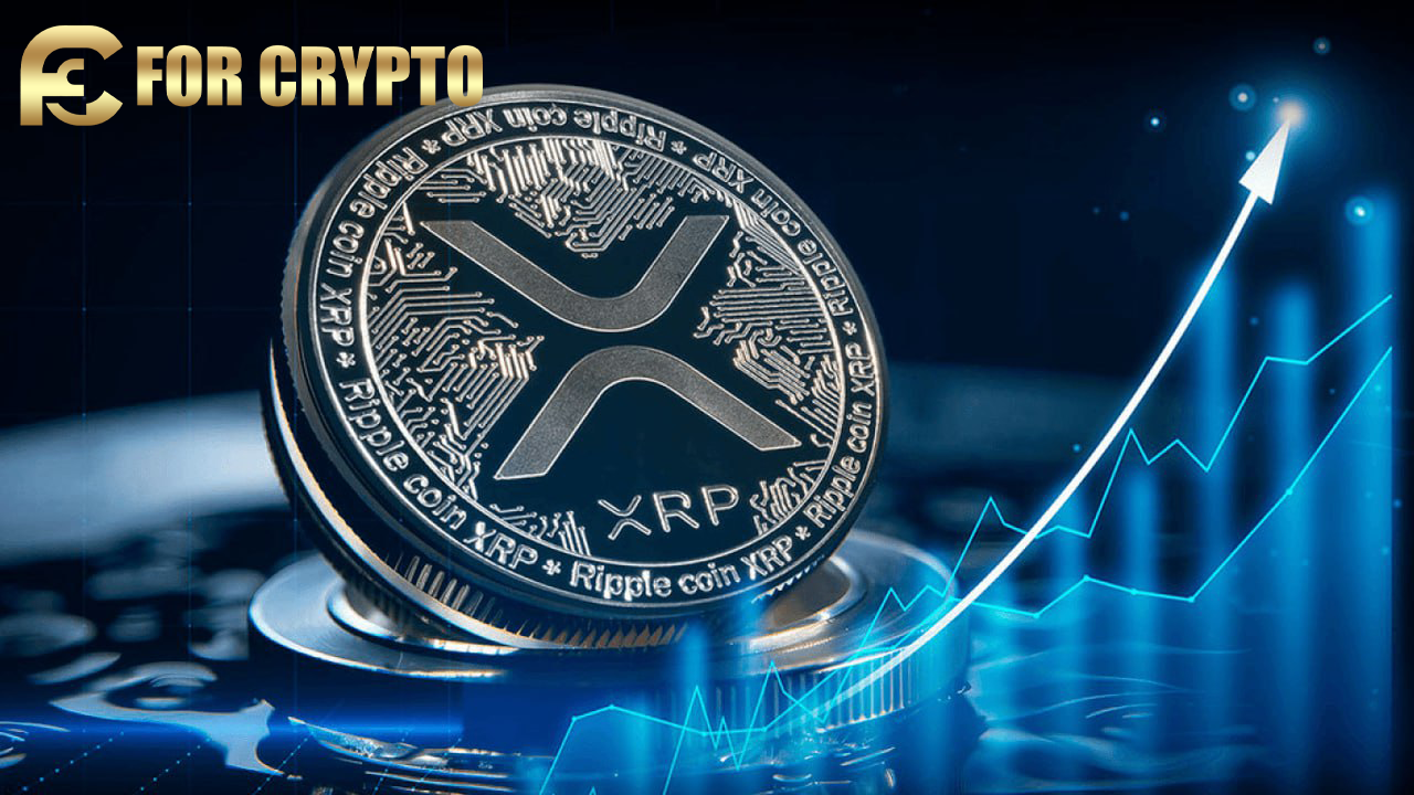 XRP Cloud Mining