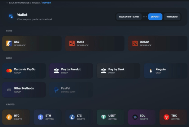Deposit options on SkinsLuck.