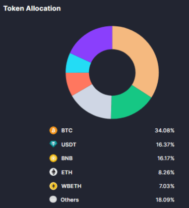 Binance token allocation.