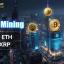 miner