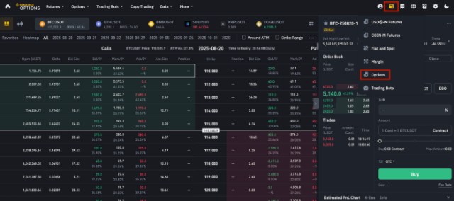 Fund your options wallet.