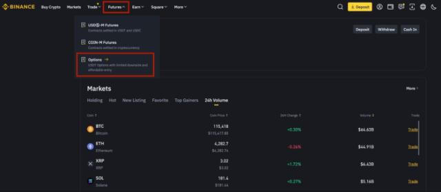 Activate Options on Binance.