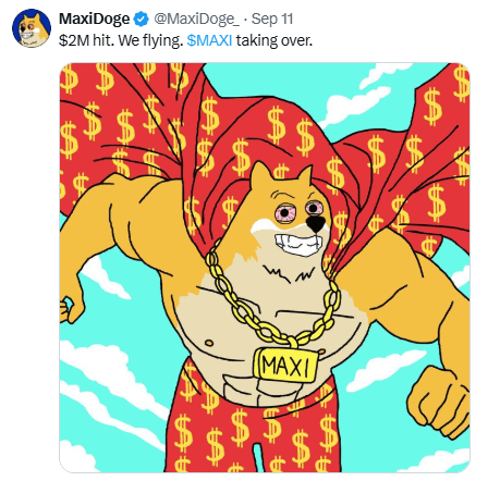Volstrītā ir DOGE, savukārt cilvēkiem ar maziem ienākumiem ir MAXI