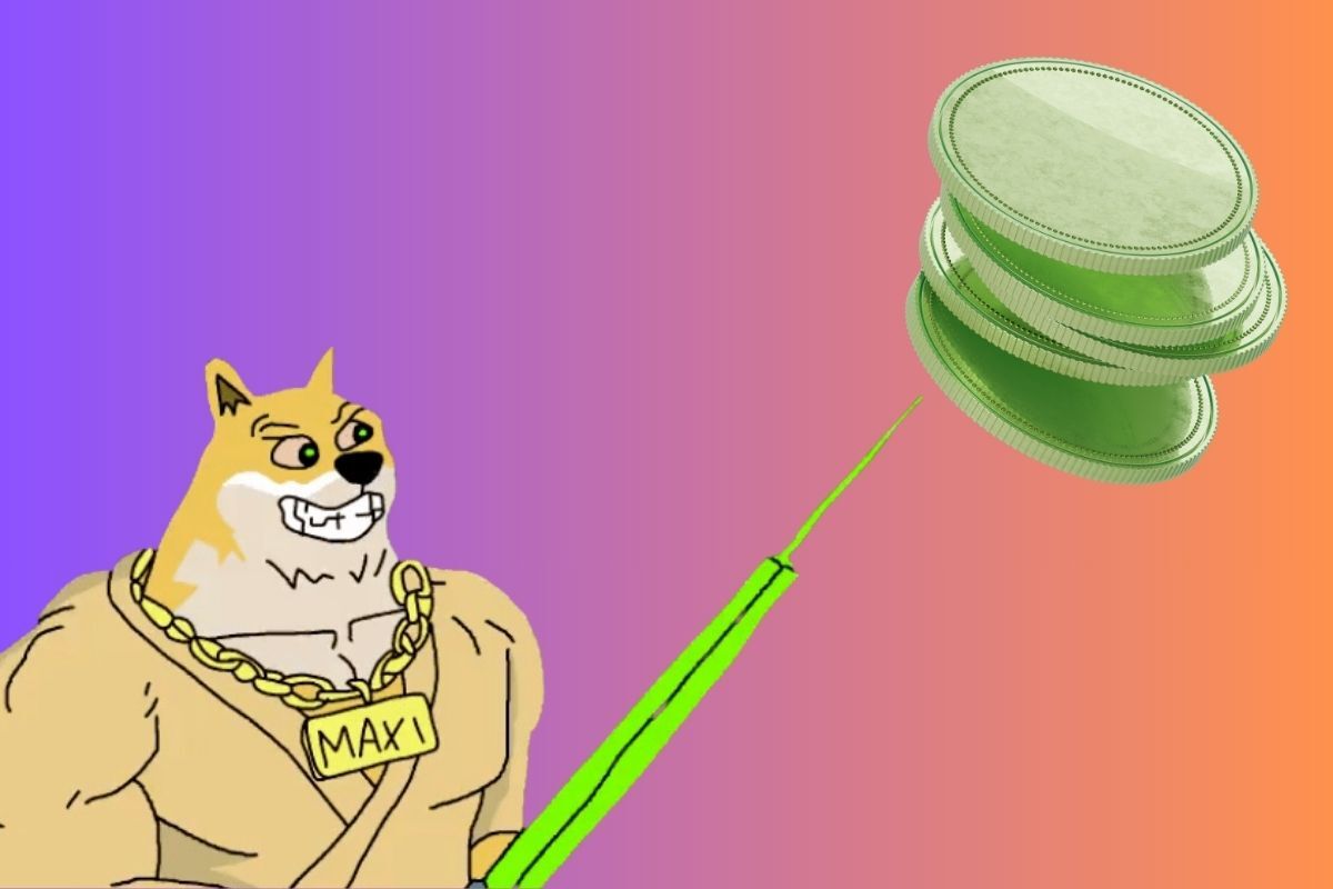 maxi doge ethereum