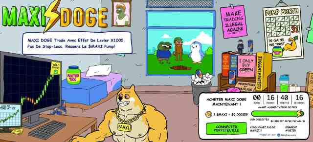 maxi-doge