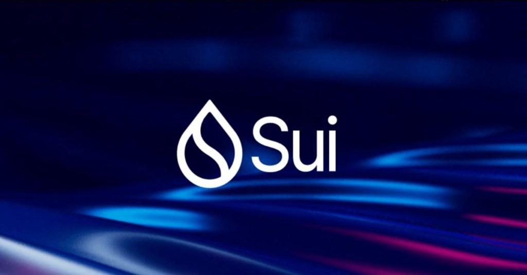 Sık Yapılan Hatalar: SUI nasıl alınır Sürecinde Nelere Dikkat Etmeli?