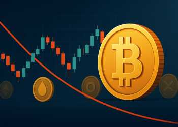 Какво купуват, продават и държат крипто китовете?