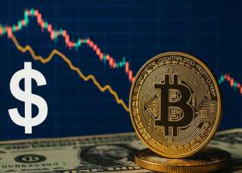 Мемекойните се борят със силата на щатския долар но MAXI Coin току-що събра 2,5 милиона долара