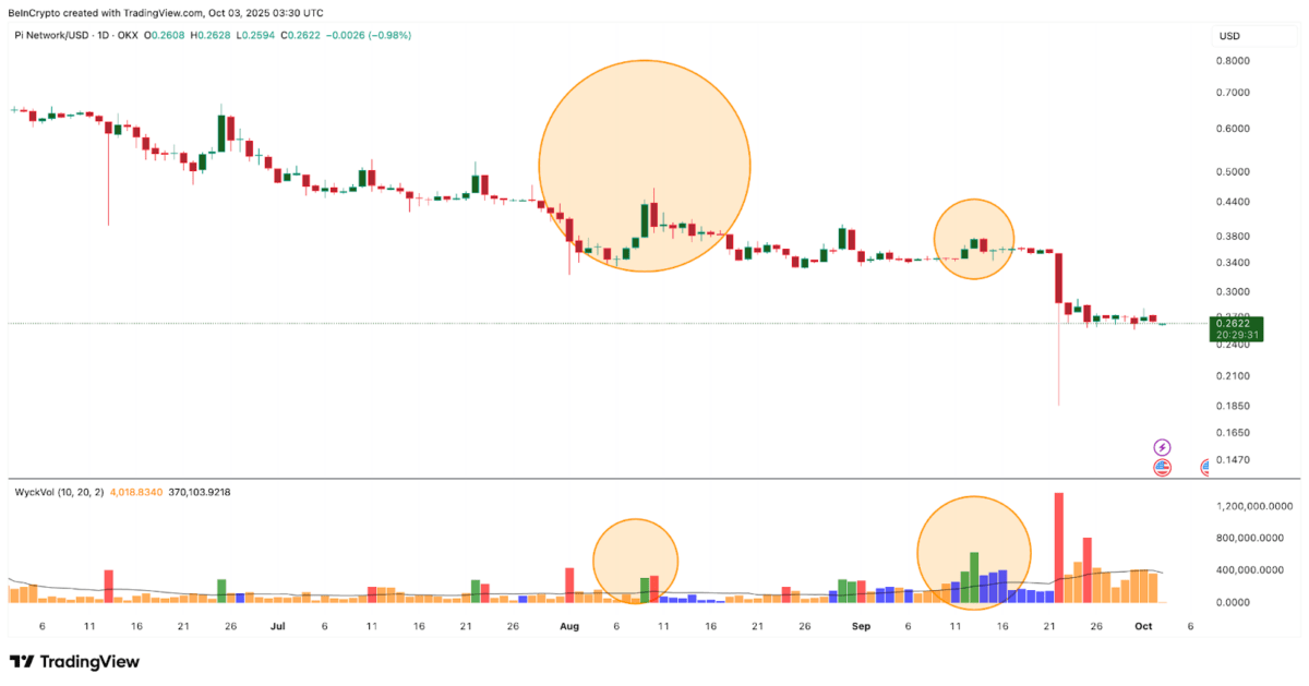 パイネットワークの現状とリスク要因