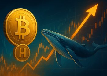 クジラが5日間で約100万ドル購入：Bitcoin Hyperは次に爆発する新しい仮想通貨か
