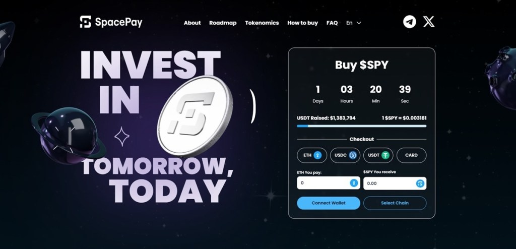 10. SpacePay (SPAY)