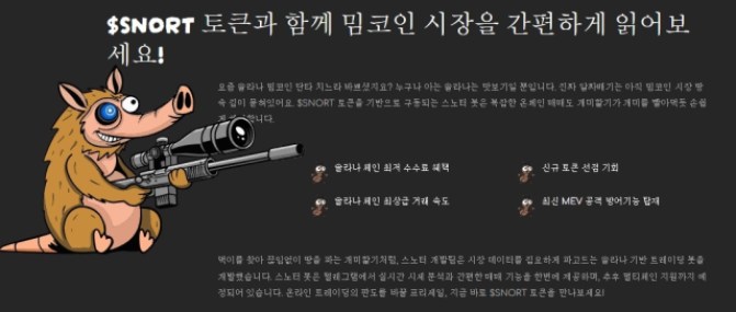 스노터의 다양한 기능