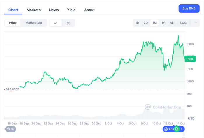 BNB one-month price performance