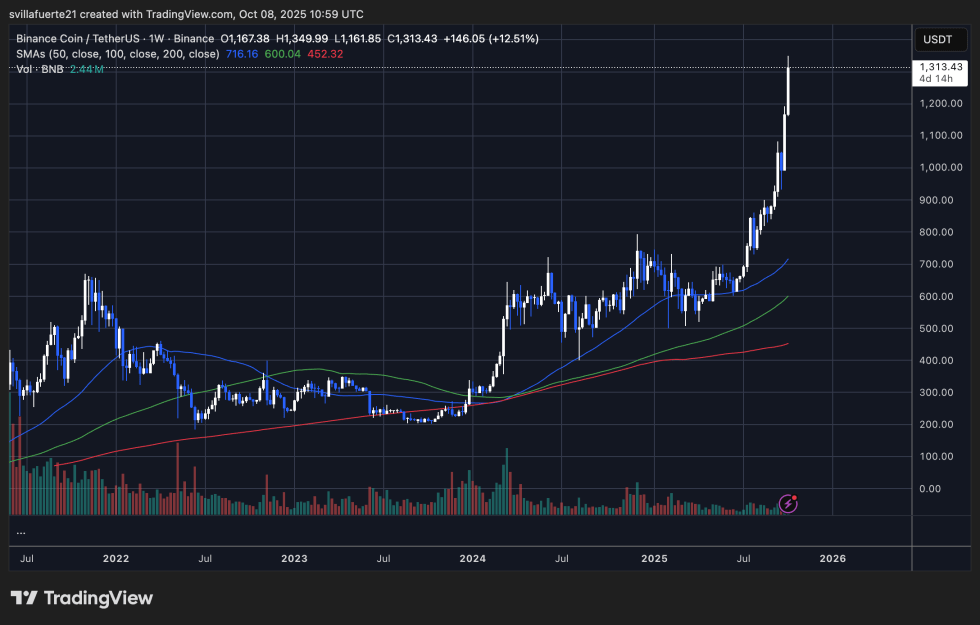 BNB showing massive strength | Source: BNBUSDT chart on TradingView