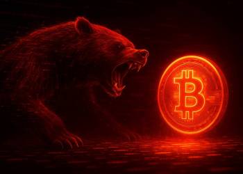 หมีดิจิทัลโจมตี Bitcoin