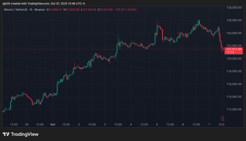 stablecoin, bitcoin, btc, btcusdt