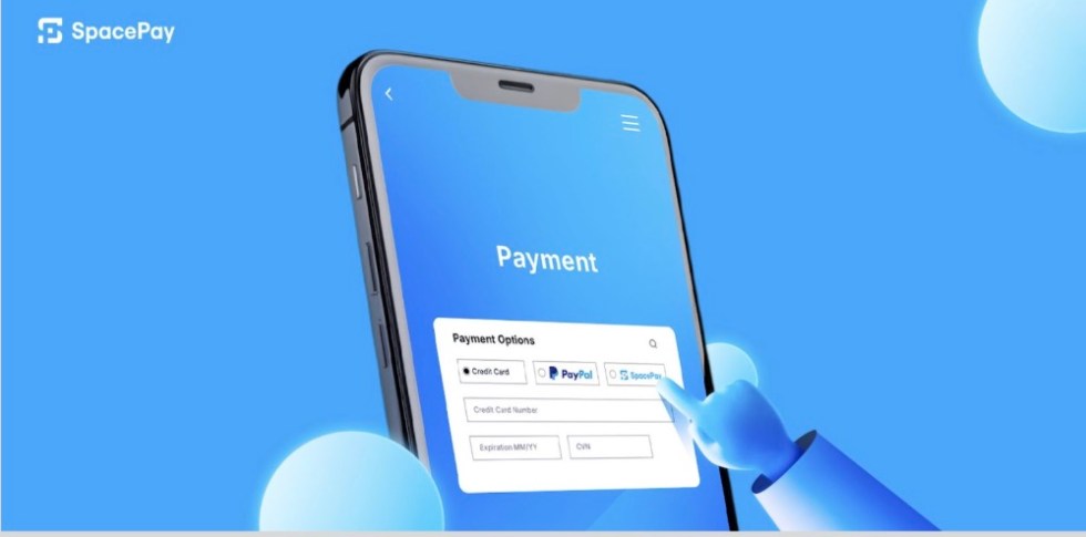 Best Long-Term Altcoin Picks for the Next Crypto Cycle - SPY Leads the Pack