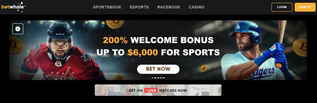 BetWhale — Innovative Tennis Sportsbook With Live Betting and Futures Markets