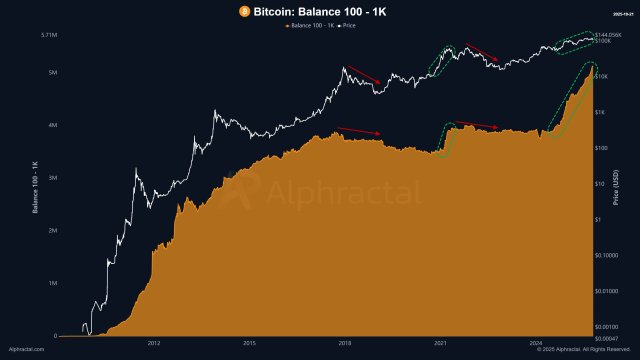 Bitcoin Mid-Size Whales Aggressively Expanding Their Stash – What This Means For The Market
