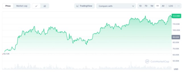 Bitcoin price chart