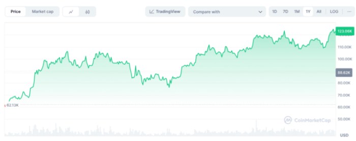 Bitcoin price chart